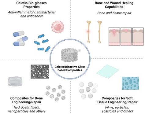  Gelatin: 혁신적인 의료 분야 및 조직공학 응용에 대한 가능성을 탐구하다!